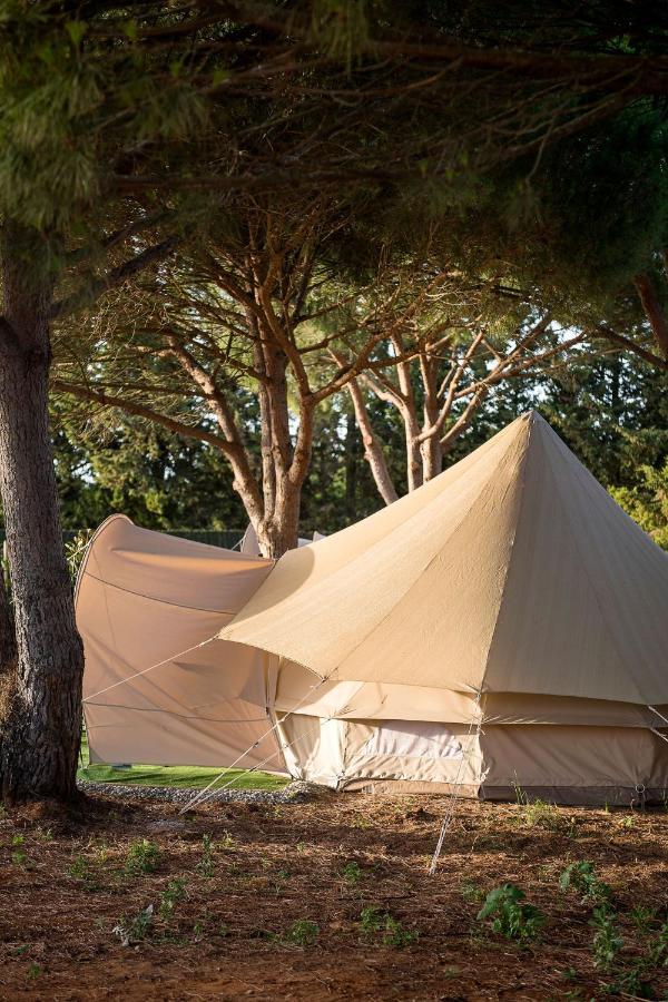 Glamping La Mimosa Conil Hotell Conil De La Frontera Eksteriør bilde