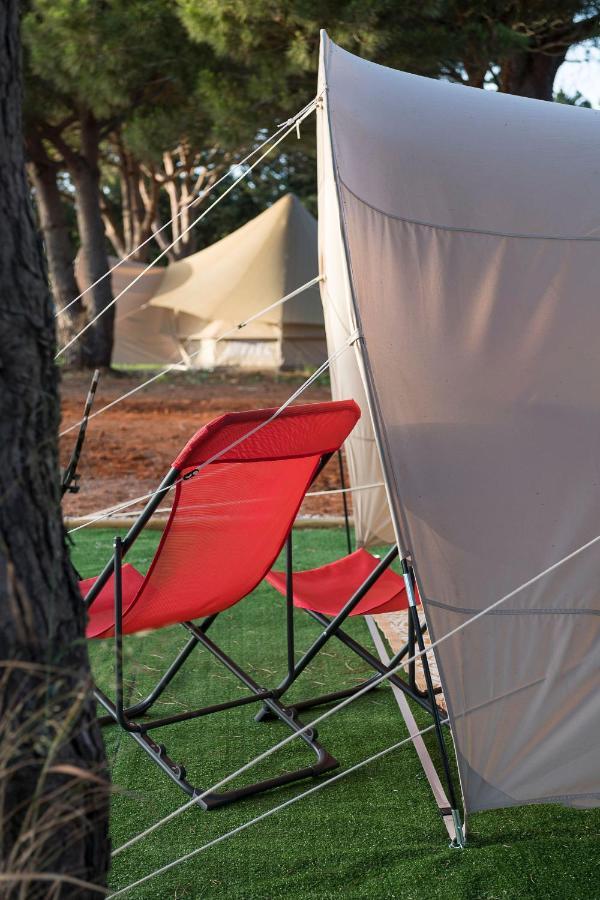 Glamping La Mimosa Conil Hotell Conil De La Frontera Eksteriør bilde