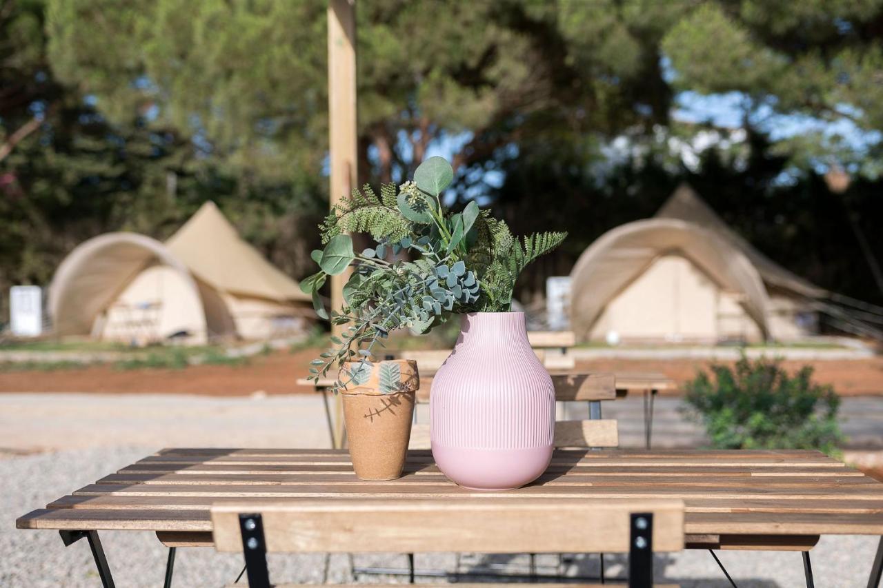Glamping La Mimosa Conil Hotell Conil De La Frontera Eksteriør bilde
